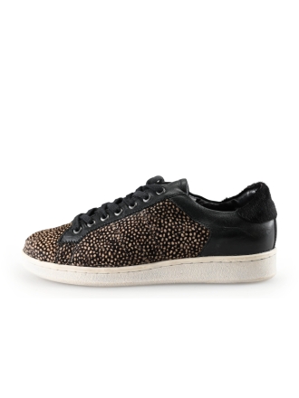 Ugg Sneakers