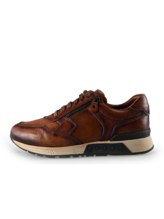 Greve Sneakers