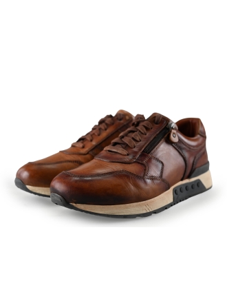 Greve Sneakers