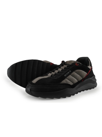 Dutchd Sneakers