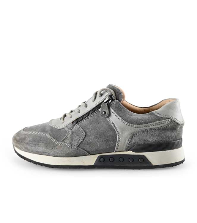 Greve Sneakers