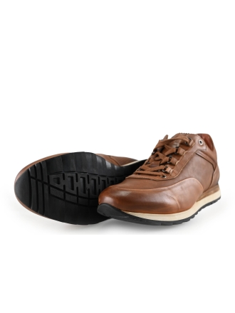 Greve Sneakers