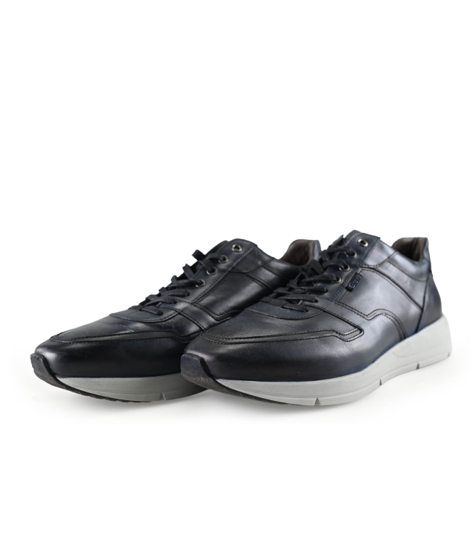 Greve Sneakers