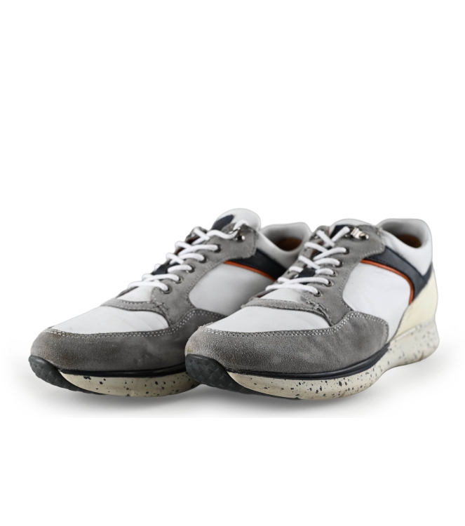 Greve Sneakers