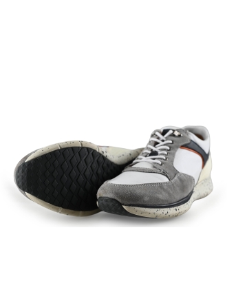 Greve Sneakers