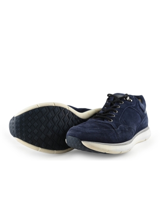 Greve Sneakers