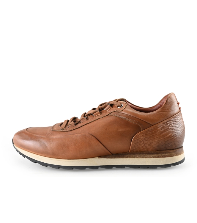 Greve Sneakers
