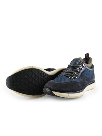 Greve Sneakers