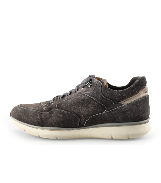 Greve Sneakers