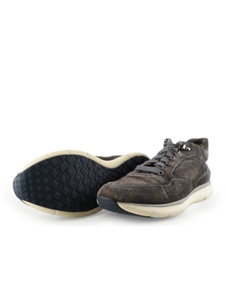 Greve Sneakers