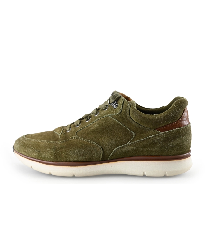 Greve Sneakers