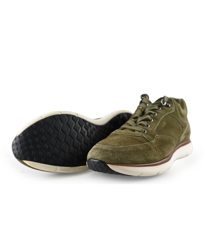 Greve Sneakers