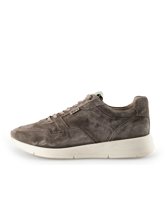 Greve Sneakers