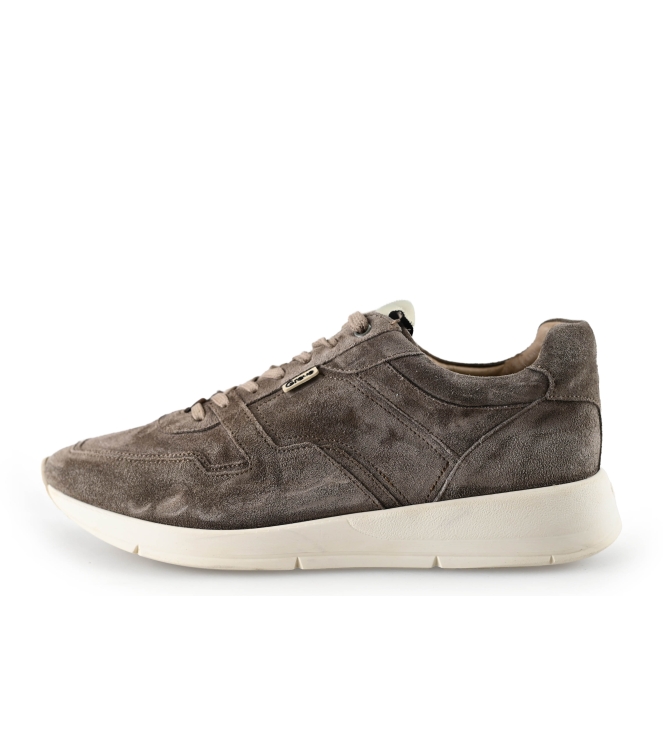 Greve Sneakers