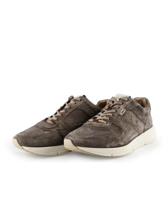 Greve Sneakers