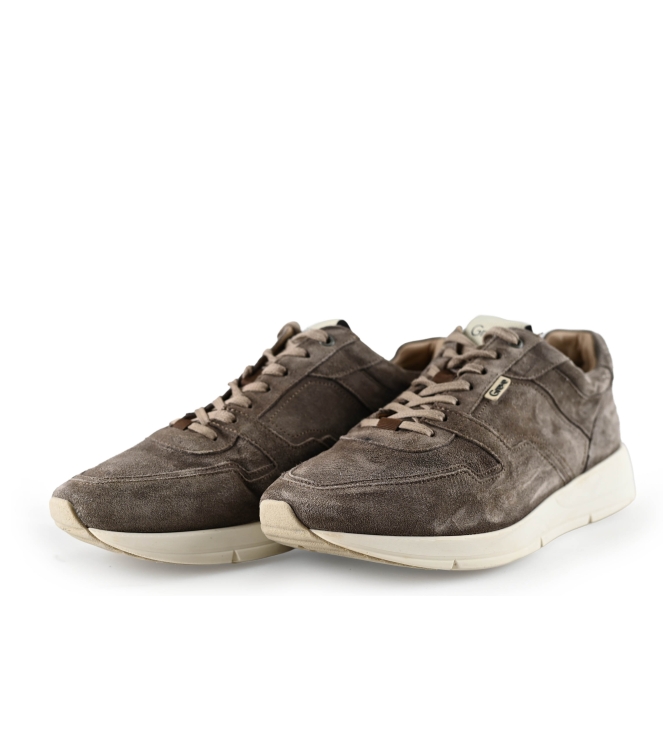 Greve Sneakers