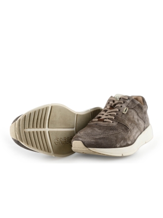 Greve Sneakers