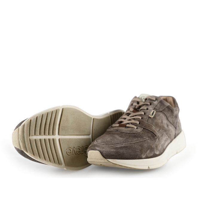 Greve Sneakers