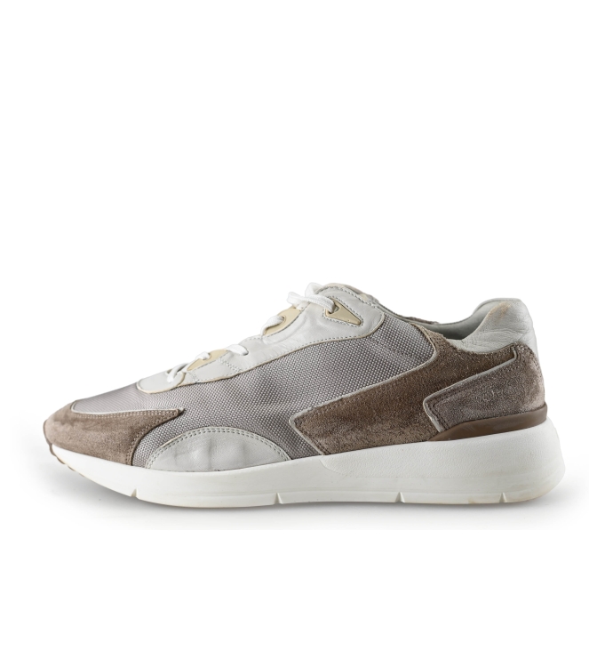 Greve Sneakers