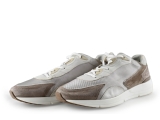 Greve Sneakers