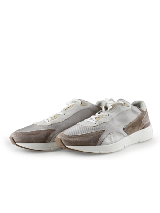 Greve Sneakers