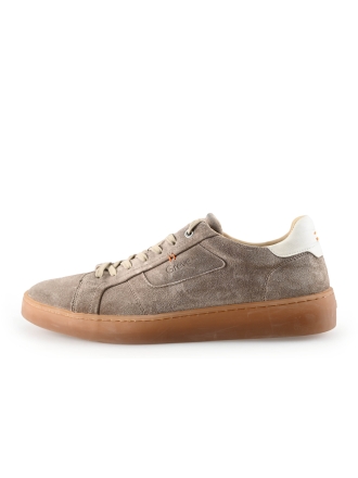 Greve Sneakers