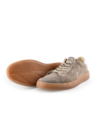 Greve Sneakers