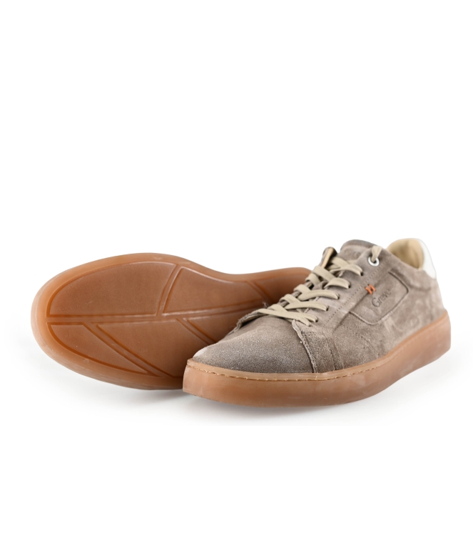 Greve Sneakers