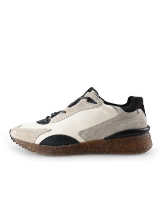 Greve Sneakers