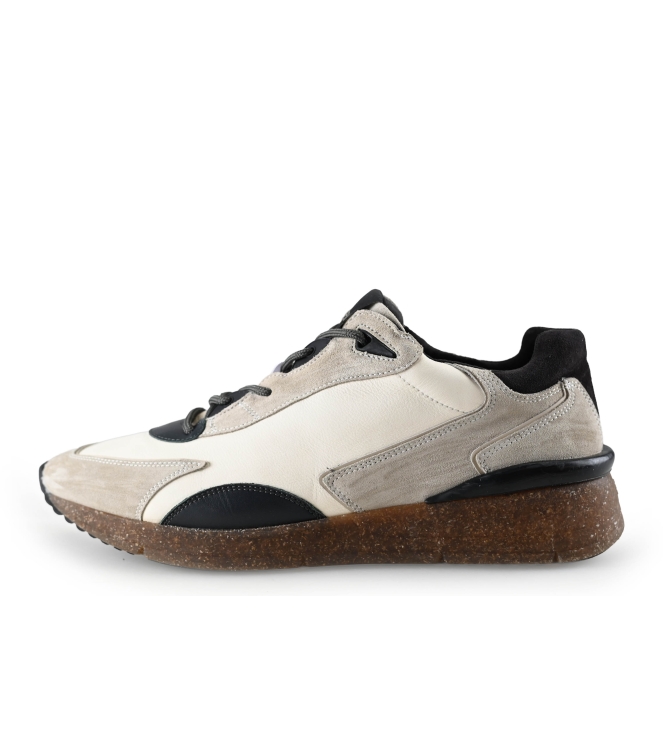 Greve Sneakers