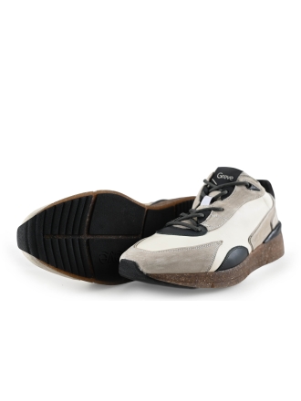 Greve Sneakers