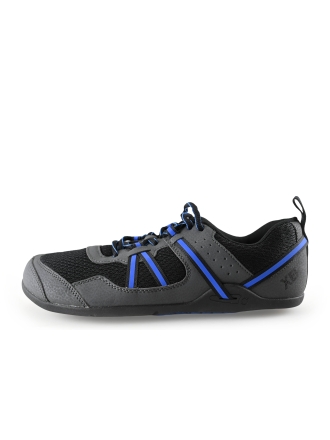 Xero Sneakers