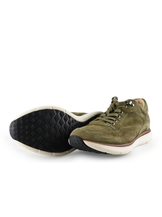 Greve Sneakers