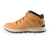 Timberland Hoge sneakers