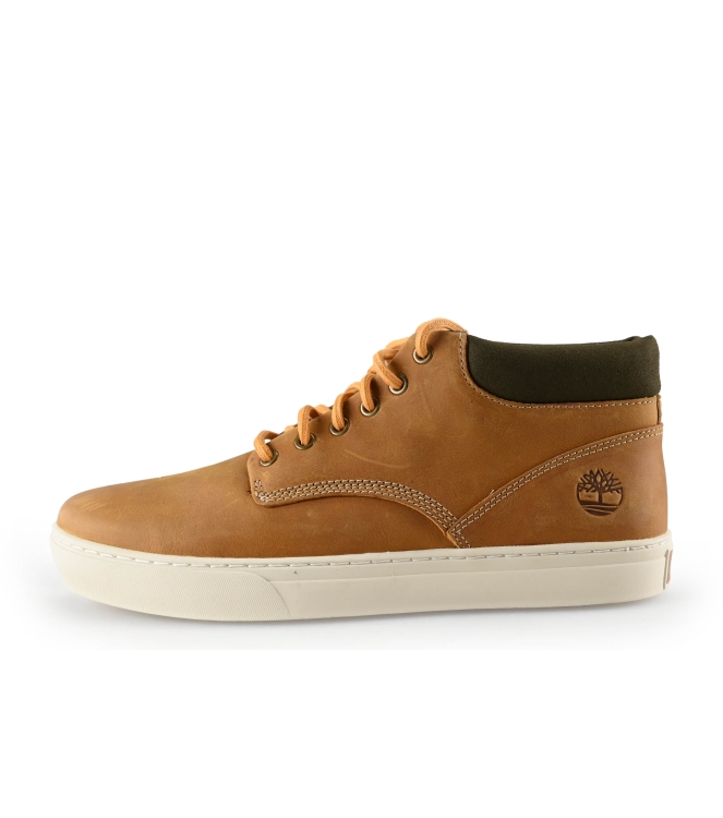 Timberland Hoge sneakers
