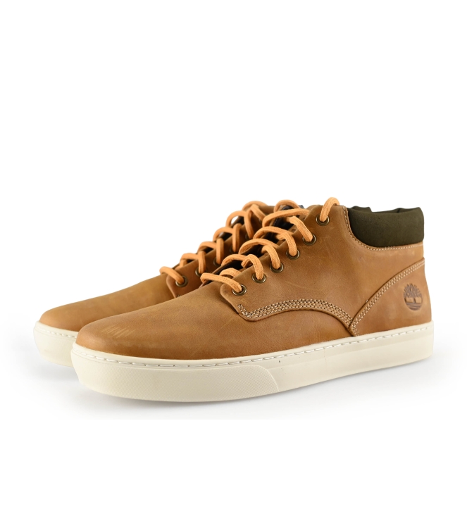 Timberland Hoge sneakers