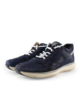 Greve Sneakers Zwart 287013