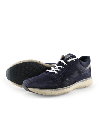 Greve Sneakers