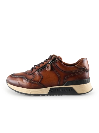Greve Sneakers Bruin 287758