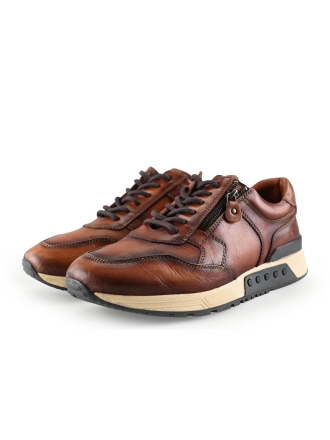 Greve Sneakers Bruin 287758