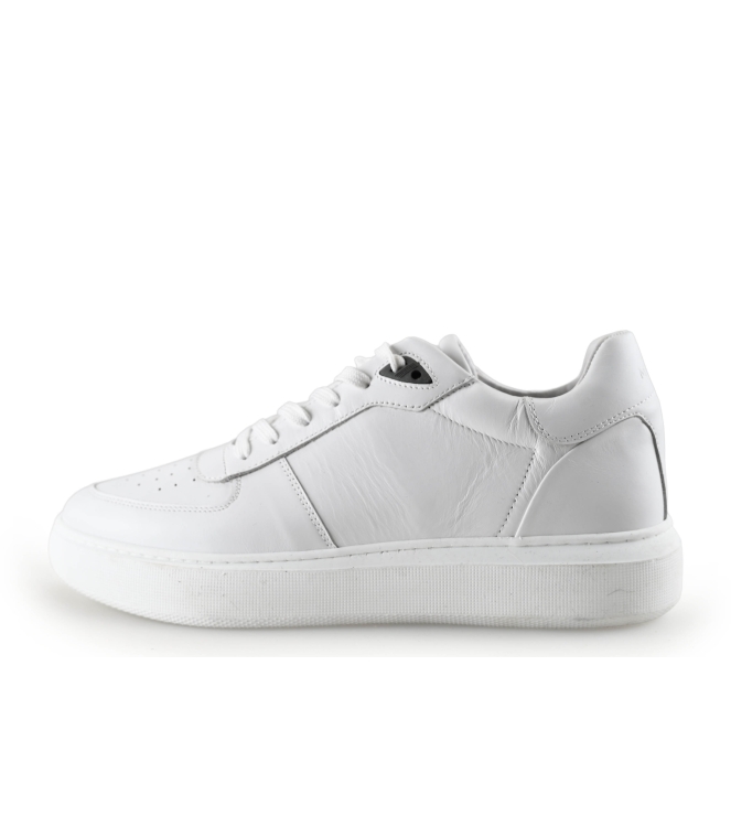 Manfield Sneakers