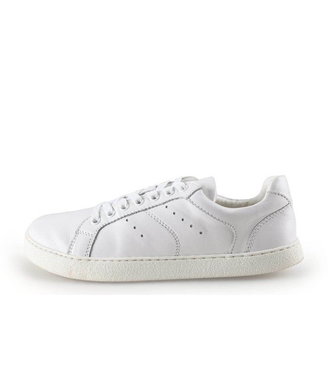 Barefoot Groundies Sneakers