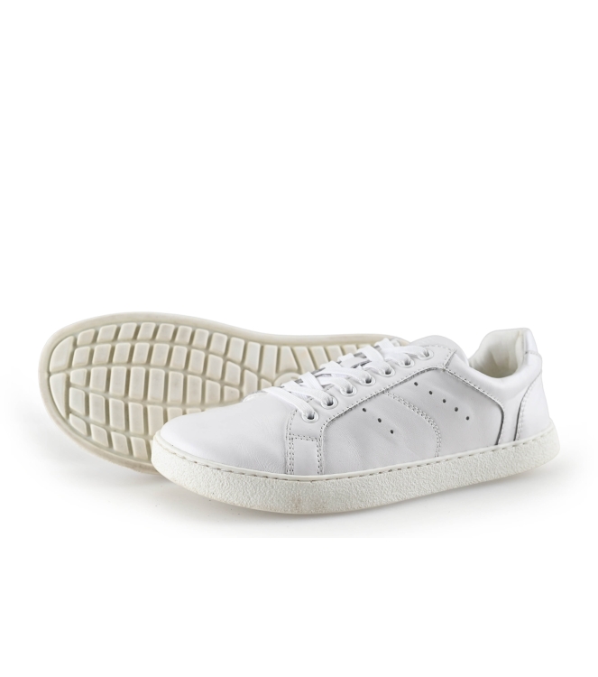 Barefoot Groundies Sneakers