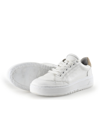 Manfield Sneakers