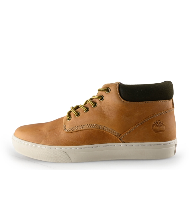 Timberland Hoge sneakers