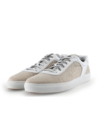 Greve Sneakers