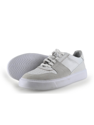 Sacha Sneakers