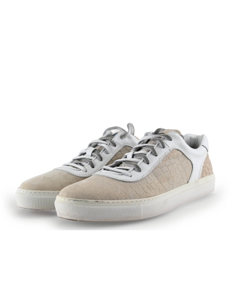 Greve Sneakers