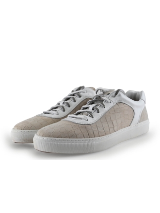 Greve Sneakers Wit 293996