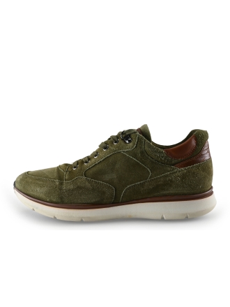 Greve Sneakers Groen 294189